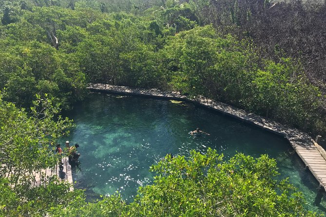 Holbox tour from Cancun and Riviera Maya - Isla Pasion: Birds, Beach, and That Untouched Feeling