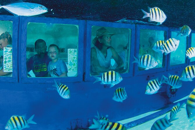 Hop-on Hop-off City Tour Cancun plus Submarine or Bodyboard Experience - The first big cluster: Playa Tortugas, Plaza Party, and La Isla stop-by-stop