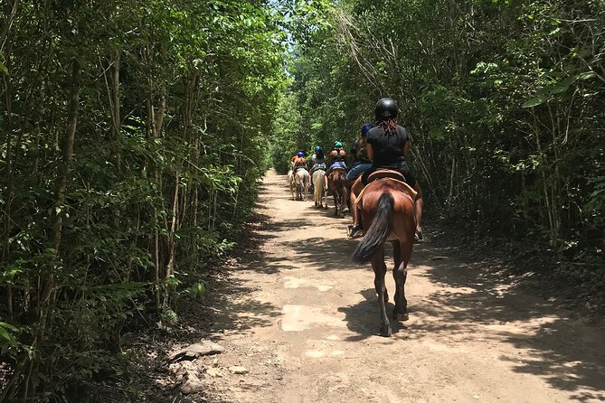 Horseback, ATV´s, Ziplines, Cenote, Hanging bridge Lunch and Round Trip Included - ATV jungle roads: driving rules, insurance, and what to pack