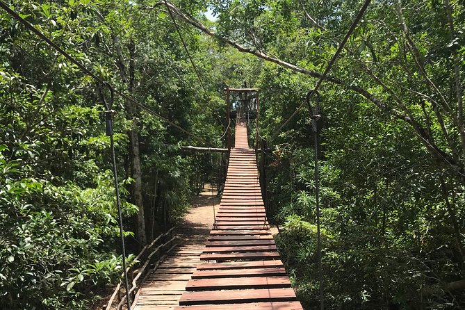 Horseback riding and ATV in the jungle, Ziplines, Cenote & Lunch - Value at $60.75: What Your Money Buys