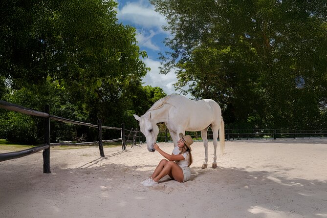 Horseback Riding and Cenote Swim from Cancun or Playa del Carmen - Where the Ride Really Starts: Cancun or Playa del Carmen Pickup
