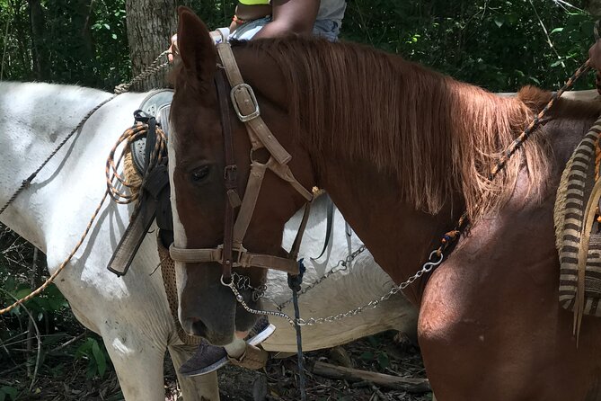 Horseback riding with ATV, zip lines and cenote, lunch and transfer - ATVs through stone, mud, climbs, and included insurance