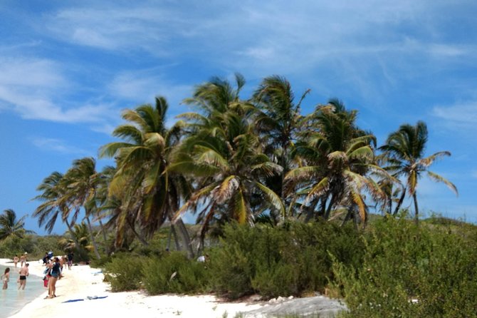 Isla Contoy and Isla Mujeres Tour with Snorkeling from Cancun - Lunch on Contoy: Mayan-Style BBQ With Real Island Atmosphere