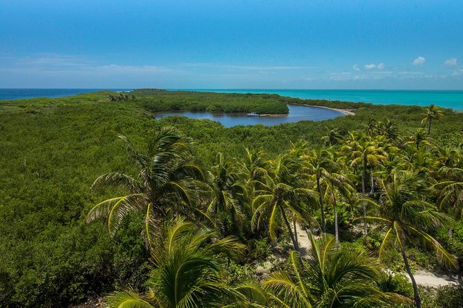 Isla Contoy and Isla Mujeres Tour with Snorkeling from Cancun - Isla Mujeres: Shopping Hour, Then the Party Deck Bounce