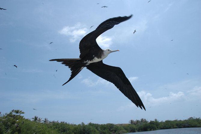 Isla Contoy Eco Adventure - Isla Contoy itself, wildlife time with strict access rules