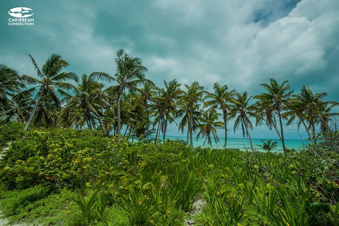 Isla Contoy Eco Adventure - Food and drinks, the Tikinxic fish lunch and the open bar setup