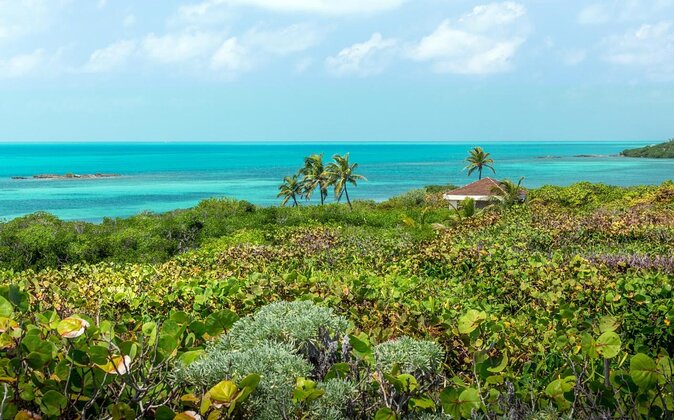 Isla Contoy Incredible Tour! Round Transportation From Cancun & Playa Del Carmen - Key Highlights Worth Your Time