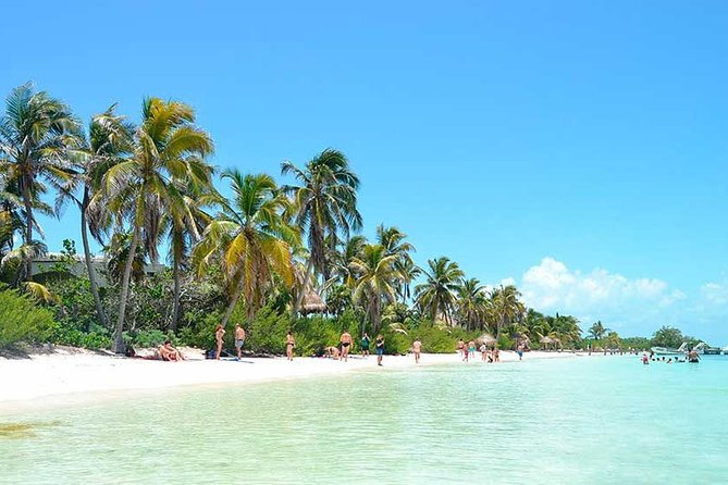 Isla Contoy Incredible Tour! Round Transportation From Cancun & Playa Del Carmen - The Isla Mujeres Stop: One Hour to Get Your Bearings