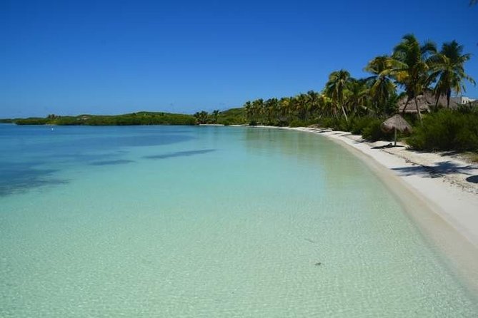 Isla Contoy Incredible Tour! Round Transportation From Cancun & Playa Del Carmen - Food and Open Bar: What You Actually Get (and When)