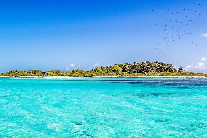 Isla Contoy Incredible Tour! Round Transportation From Cancun & Playa Del Carmen - Service and Team Style: When Guides Make the Difference