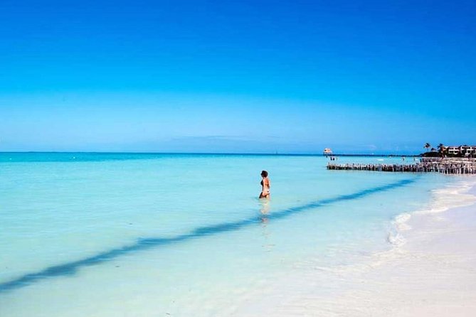 Isla Contoy & Isla Mujeres Tour from Cancun & Playa Del Carmen - Isla Contoy snorkel: protected reef time and the real rules