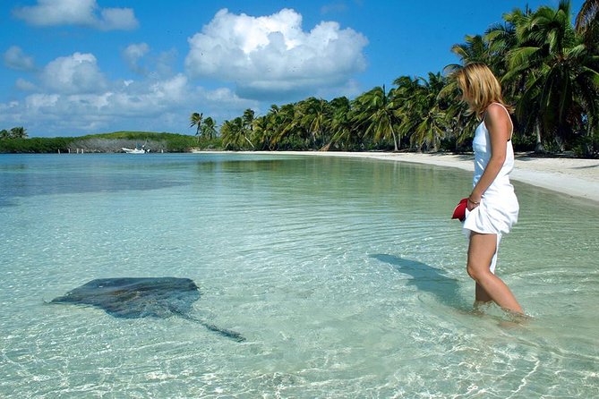 Isla Contoy & Isla Mujeres Tour from Cancun & Playa Del Carmen - Catamaran ride: double decker or sail catamaran, assigned at the marina