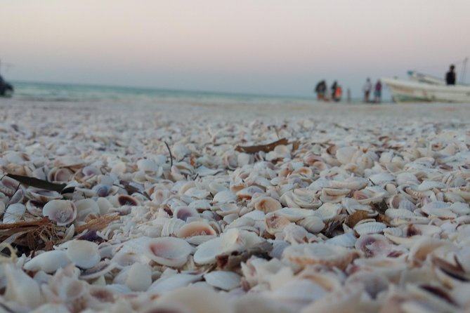 Isla Holbox All Inclusive with Transportation (Breakfast and Food Included) - Chiquilá breakfast and the boat departure mood