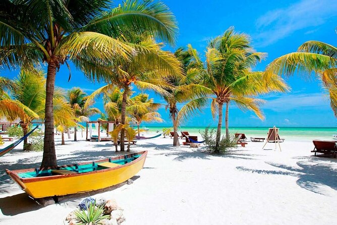Isla Holbox All Inclusive with Transportation (Breakfast and Food Included) - Isla Pájaros and Isla Morena: bird island time you can actually enjoy