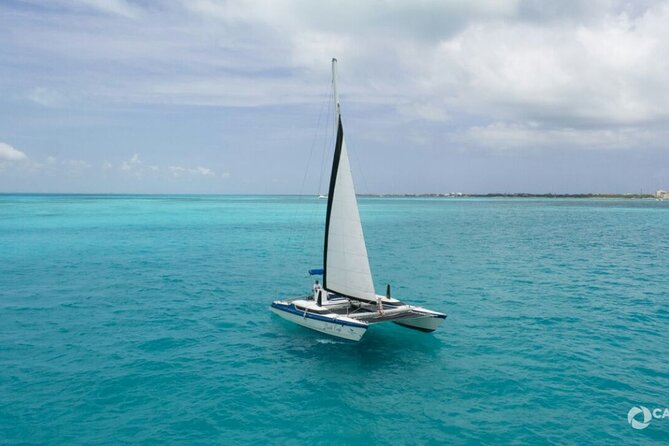 Isla Mujeres Basic Catamaran Tour with Snorkeling and Open Bar - Check-In at Playa Tortugas: Don’t Treat Arrival Time Like a Suggestion