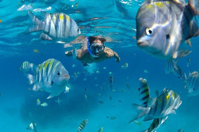 Isla Mujeres Catamaran Adventure All Inclusive from Cancun - Boarding at Marina Las Perlas: the easiest part of the day