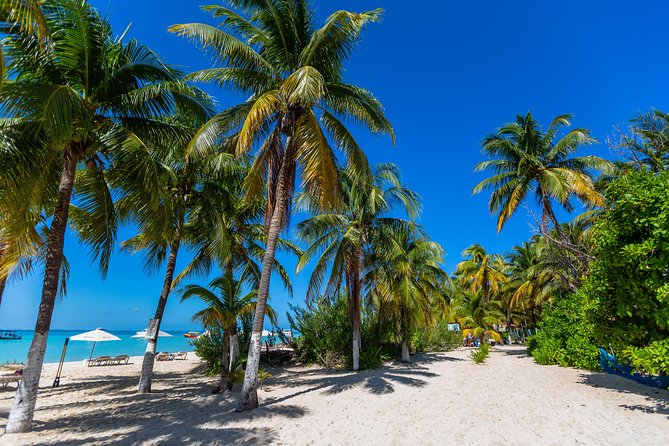 Isla Mujeres Catamaran, Open Bar & Optional Buffet and pick up - Isla Mujeres Beach Club Stop: Lunch and Shade, with Option-Based Variations