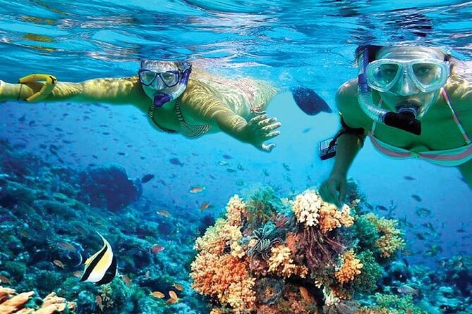 Isla Mujeres Catamaran, Open Bar & Optional Buffet and pick up - Isla Mujeres Free Time: The Part That Actually Feels Like an Island