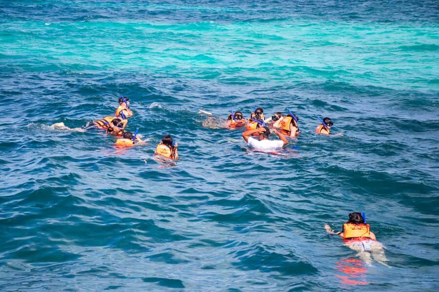 Isla Mujeres Catamaran, Snorkel & Buffet Lunch - Price and value: what the $70 covers, plus the $30 reef tax