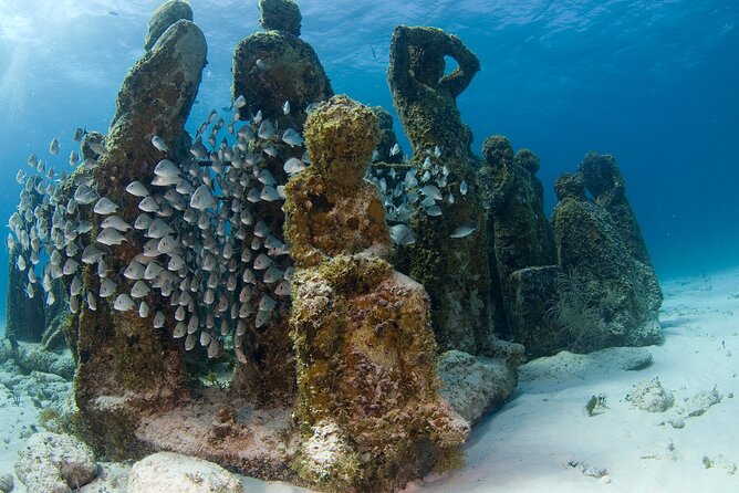 Isla Mujeres Catamaran Tour with Snorkeling at MUSA, Buffet Lunch & Open Bar - Food, Drinks, and the Open Bar Reality Check