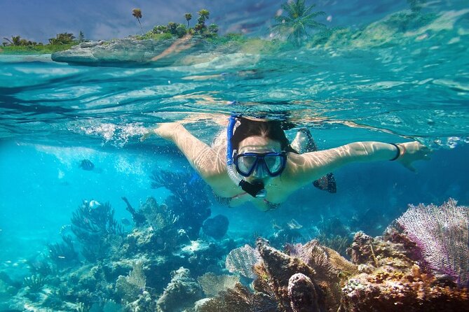 Isla Mujeres Catamaran Tour with Snorkeling, Open Bar & Buffet - Isla Mujeres Island Center Stop: Time to Walk, Shop, and Reset