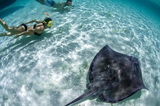 Isla Mujeres: Coral Reef Views from a Clear Boat - Why this clear-boat reef trip is such an easy win in Isla Mujeres