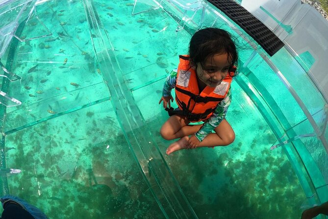Isla Mujeres: Coral Reef Views from a Clear Boat - The 45-minute flow: how the reef viewing is structured