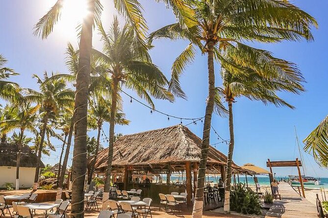Isla Mujeres Cruise with Beach Club, Snorkel, Lunch and Open Bar - Snorkeling at Arrecife El Meco: what you should expect to see