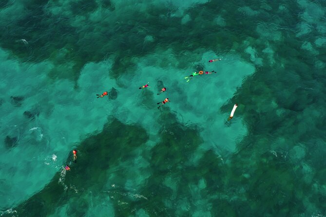 Isla Mujeres Island and Snorkeling Tour - Playa Norte: The Most Beautiful Part for Many People