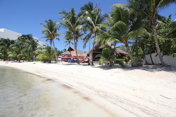 Isla Mujeres luxury catamaran with premium open bar and lunch - Price and Extras: What You’re Really Paying for