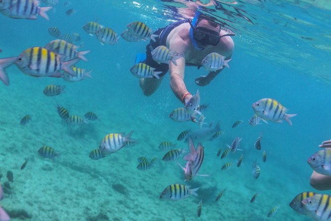 Isla Mujeres Luxury Sailing: Adults Only or Family Friendly - The Crew Experience: Why Service Makes the Difference