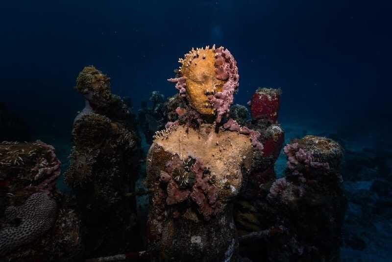 Isla Mujeres: MUSA and the Manchones Reef: 2 Tank Dive Tour - Who this Isla Mujeres MUSA and Manchones Reef tour suits best