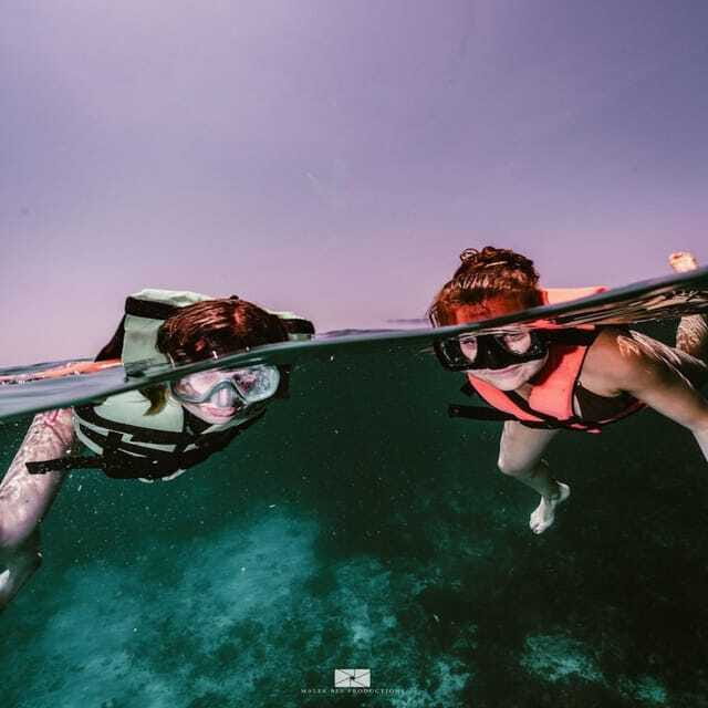 Isla Mujeres - MUSA and the Manchones Reef - Snorkel - Price and Value: Is $60 Worth It for What You See?
