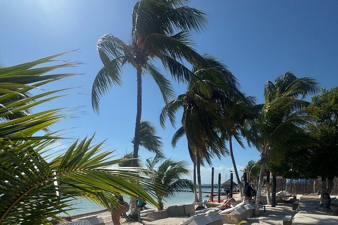 Isla Mujeres Plus Tour with Snorkeling Buffet and Open Bar - Quick hits before you go