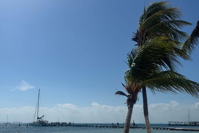 Isla Mujeres Plus Tour with Snorkeling Buffet and Open Bar - Getting Set Up at Marina Albatros (and Why Early Matters)