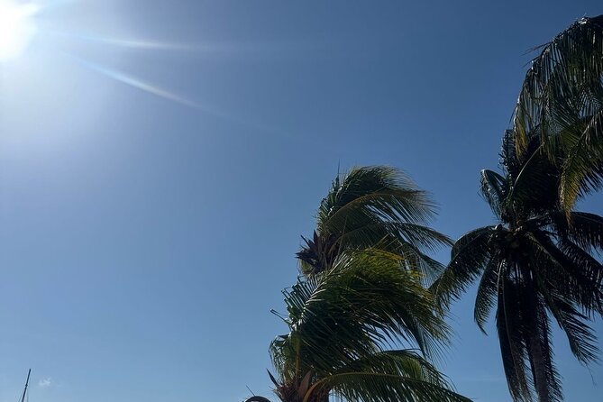 Isla Mujeres Plus Tour with Snorkeling Buffet and Open Bar - Comfort on a Catamaran: The One Thing to Watch