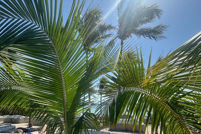 Isla Mujeres Plus Tour with Snorkeling Buffet and Open Bar - Value Check: Where This Tour Wins
