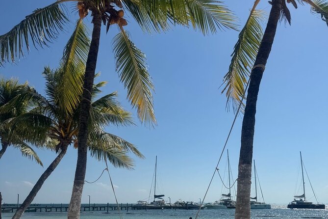 Isla Mujeres Plus Tour with Snorkeling Buffet and Open Bar - Playa Tortugas Stop: The First Real Checkpoint