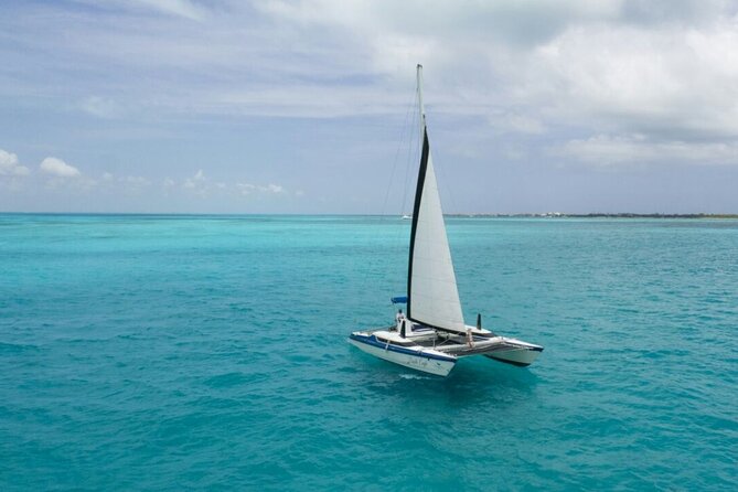 Isla Mujeres Premium Tour in Catamaran with Snorkel and Buffet - Arrecife El Meco snorkeling: great reef scenery, but manage expectations