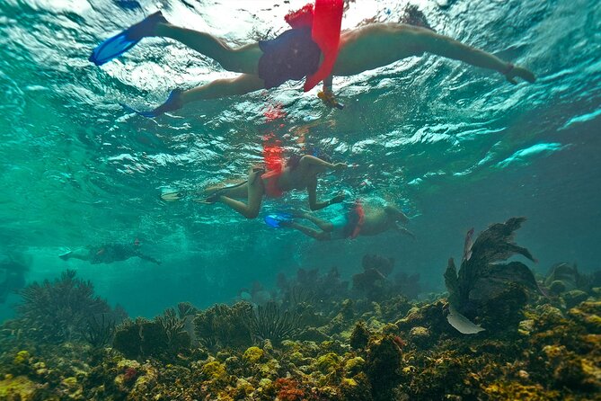 Isla Mujeres, Snorkel, Lunch & Pick Up from Cancun to P.Morelos - Punta Sam check-in, light breakfast, and getting on the water