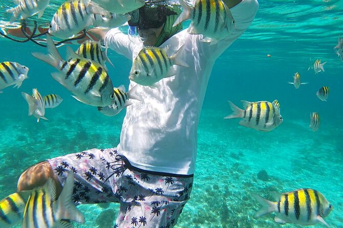 Isla Mujeres: Snorkeling Adventure at the Underwater Museum - Starting at Señor Frog’s: your easiest way to begin