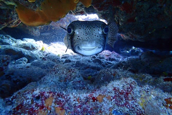 Isla Mujeres Snorkeling Tour - Gear That Fits, Plus Sanitized Equipment