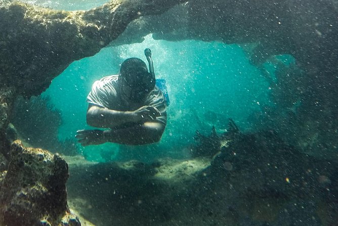Isla Mujeres Snorkeling Tour Adventure - Lighthouse Reef, MUSA, and Manchones, all in one trip