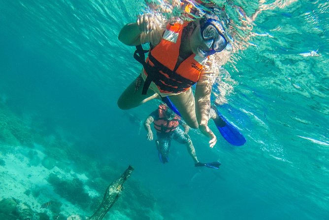 Isla Mujeres Snorkeling Tour Adventure - Gear, instruction, and the real question: how beginner-friendly is it?