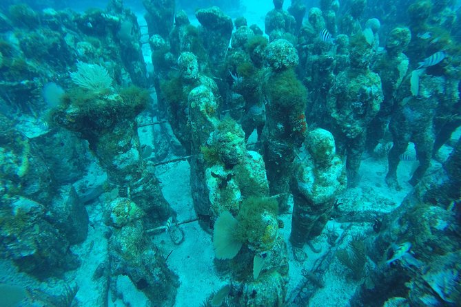 Isla Mujeres Snorkeling Tour Adventure - The food, ceviche, and margaritas you’ll actually remember
