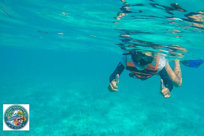 Isla Mujeres Snorkeling Tour Adventure - Price and value: is $58.74 a good deal?