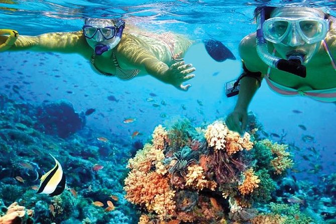 Isla Mujeres tour in a Catamaran with snorkel, open bar, lunch - Group size, onboard comfort, and lunch lines