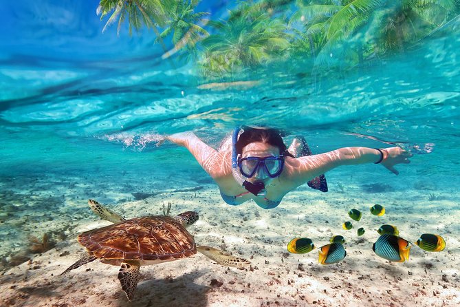 Isla Mujeres tour in a Catamaran with snorkel, open bar, lunch - Snorkeling on a hand-selected reef: exciting, but know the trade-offs