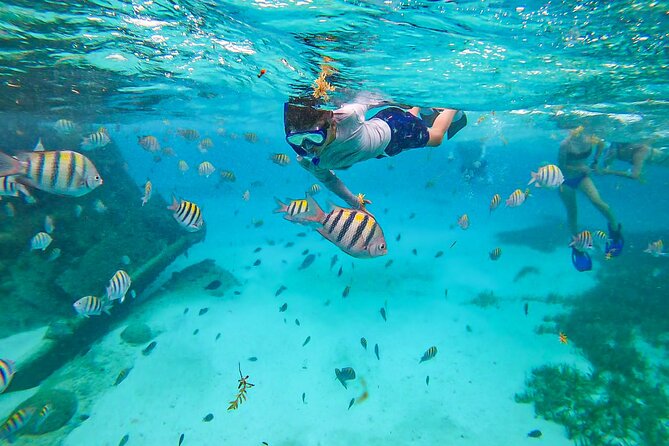 Isla Mujeres Tour, Snorkel and Golf Cart included - Speedboat ride from Punta Sam, plus beers and ocean views
