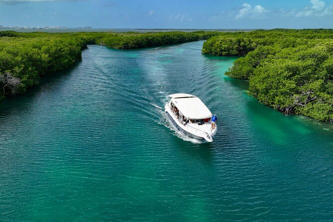 Island Adventure - Isla Mujeres Snorkel Tour, Gear Included, What to Expect in the Water
